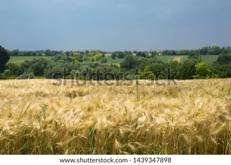 View from a hill on the Hungarian landscape
