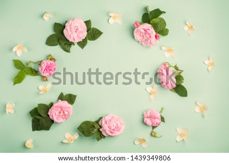 Beautiful rose flowers on green background. Soft light color. Top view, copy space.	