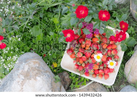 Fresh red strawberries in a wooden plate. Strawberry is a source of vitamin C. This berry is a natural aphrodisiac. Collage with wild flowers on the background of garden plants.