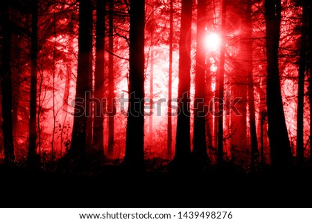 A spooky misty forest, with trees silhouetted by backlight and a glowing light in the sky. With a creepy, science fiction, horror, red edit.
