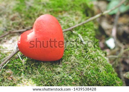 Red decorative heart in the forest. Love concept