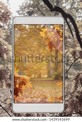 Background of autumn golden leaves, concept of new features in smartphone s camera, improvement of the image to feel real