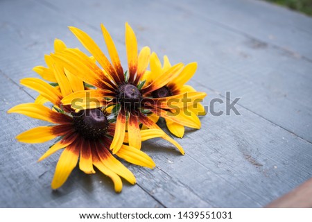 Beautiful flowers on dark wooden table background. Backdrop with copy space