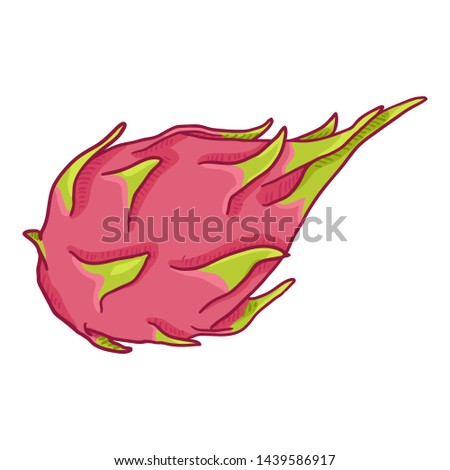 Vector Cartoon Whole Dragon Fruit Pitahaya