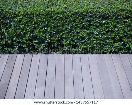 Striped wooden plank terrace with the view to green tree background.