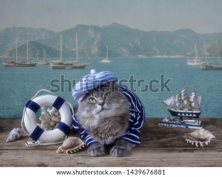 Pretty kitty in sailor hat on the seascape background