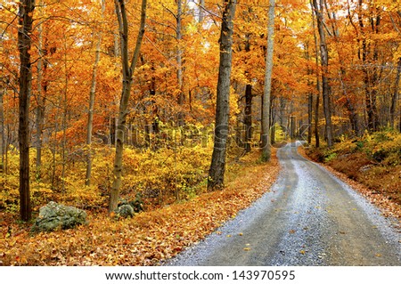 Winding Mountain Road in Autumn