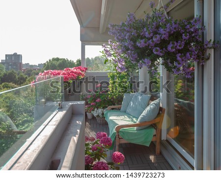 Balcony plants, beautiful different colored flowers, Hydrangea, dhalia, Transvaal daisy, City terrace in the spring, wooden bench on balcony Royalty-Free Stock Photo #1439723273