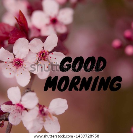 image of beautiful flowers with text: GOOD MORNING.