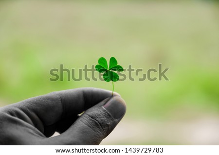 Clover leaves are a symbol of good luck.
