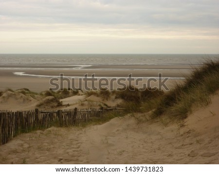 A dreamy sunset picture of the English Channel Sea and sand dunes with beachgrass vegetation, on the coast of Sussex in the United Kingdom