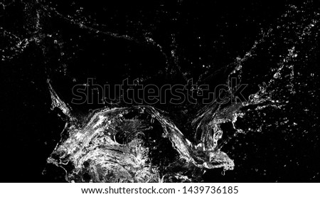 Water splash isolated on black background. Abstract shape