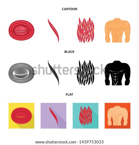 Vector design of fiber and muscular symbol. Set of fiber and body stock vector illustration.