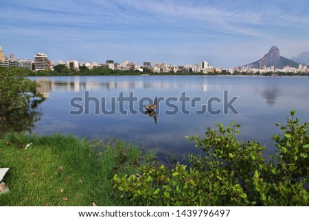 Rodrigo de Freitas Lagoon in Rio de Janeiro, Brazil