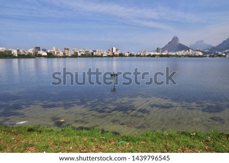 Rodrigo de Freitas Lagoon in Rio de Janeiro, Brazil