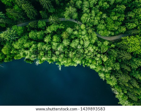 Aerial top view of country road in green summer forest and blue lake. Rural landscape in Finland. Drone photography from above. Royalty-Free Stock Photo #1439893583