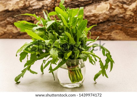 Fresh organic herb arugula. Flat lay cooking concrete stone background, healthy food concept. Wooden bark background