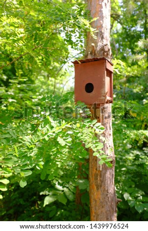 Birdhouse wooden on the tree. House for birds do it yourself.