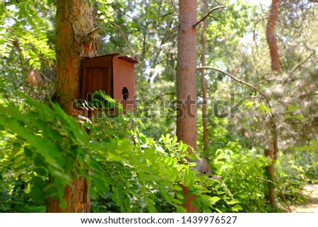 Birdhouse wooden on the tree. House for birds do it yourself.