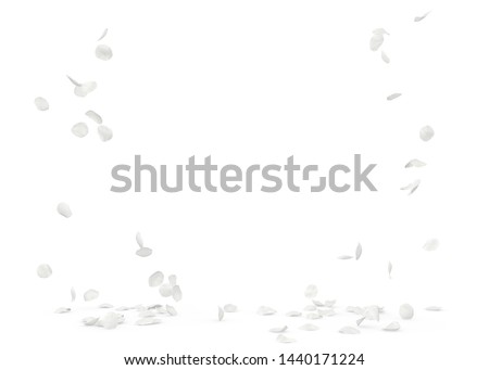 Rose white petals fly and fall to the floor. Isolated white background Royalty-Free Stock Photo #1440171224