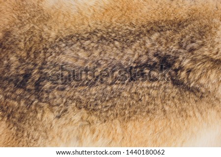 Texture of natural rabbit fur close-up. Background. Royalty-Free Stock Photo #1440180062