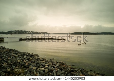 Autumn Fall Concept. Ducks swimming along the coastline of  sea on a cloudy autumn day. Rocky shore of the Baltic sea. Fall Seascape of Scandinavia with dramatic sky and rocky coast in rainy weather.