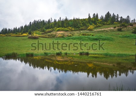 Pond and reflection of clouds. Landscape photo was taken at Badara Plateau, Rize, Turkey 