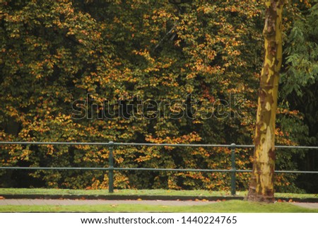 Autumn landscape in a park from Düsseldorf
