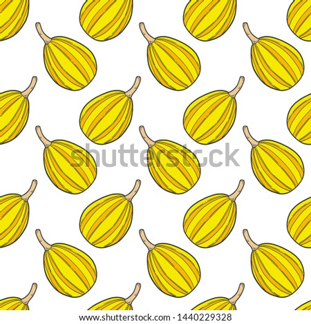 Fresh raw pumpkin. Vector concept in doodle and sketch style. Hand drawn illustration for printing on T-shirts, postcards. Seamless pattern for textile, paper wrap. Texture background.