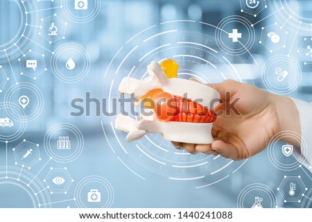 Hand doctor shows a hernia of the spine on blurred background.