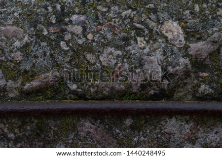 The surface of an old, moldy concrete on which a black fly sits, a macro shot. Stone surface. Dark background texture ancient concrete. At the bottom is a thick rusty wire that divides the image.  