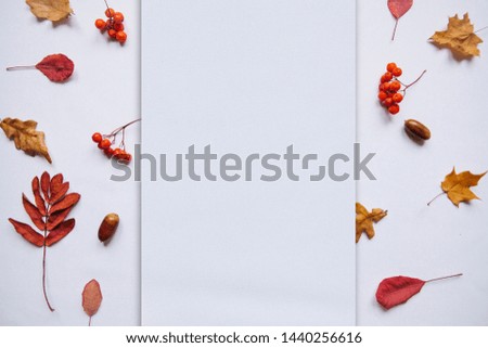 Autumn leaves, rowan and acorns on a white background. In the middle of the empty space for text.