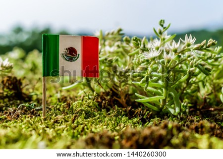 flag of Mexico among green moss and white flowers of Sedum Album plant