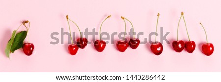 Tropical summer abstract background. Cherry cherries with cuttings and leaves on the pink background.