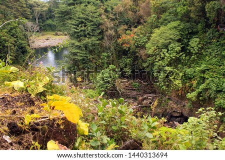 yellow leaves on the edge an outlook to scene of a waterfall. With rainforest foliage around the falls. 