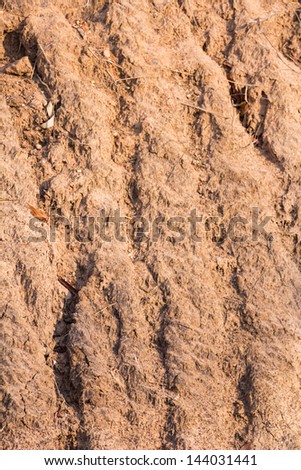 Close up of soil texture