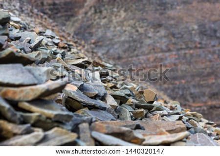 Stone and rumble with fossil leaves on the way to Longyear glacier. Svalbard, Norway