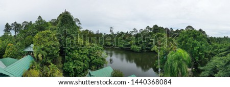 An aerial view of Rainforest Discovery Centre (RDC) In Sepilok, Sandakan, Sabah, Borneo. Malaysia. 