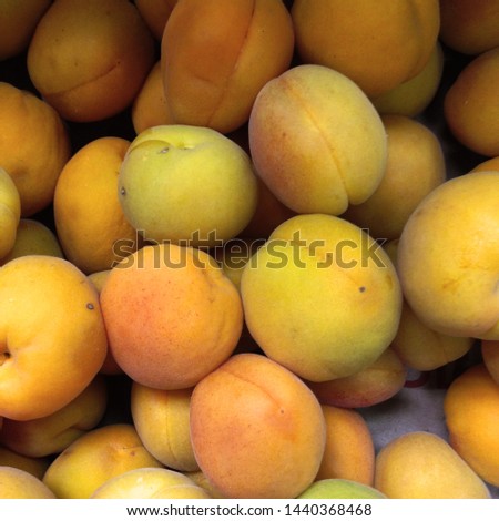 Macro Photo food tropical fruit apricot. Texture background sweet yellow ripe apricots. Image food fruit apricots