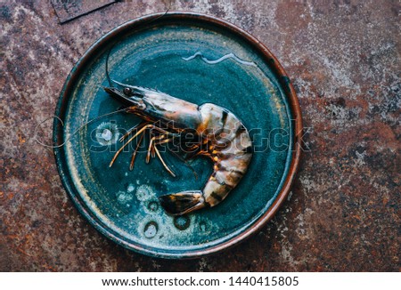 Raw fresh tiger shrimp in a plate top view space for text 