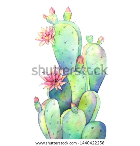 Watercolor cactus illustration on isolated white background. Hand painted  tropical plants clip art.