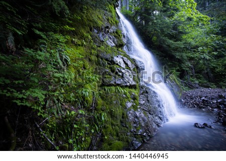 A Small Roadside Waterfall In Mt. Rainier National Park