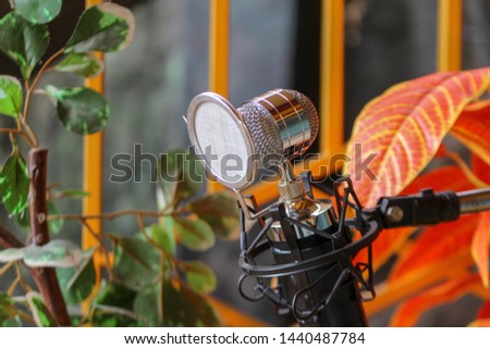 Professional condenser microphone with pop filter in flower garden, nature beautiful  