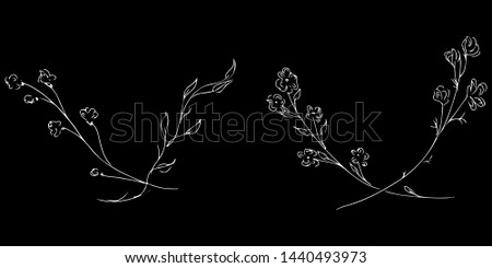 Hand Drawn Vector Illustrations Set Of Branches With Flowers and Leaves Isolated on Black Background. Hand Drawn Sketch of a Flowers
