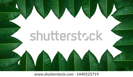 Green leaves are arranged into a picture frame with space for pictures or letters.