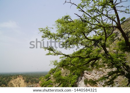 Mountain Landscape. People And Big Green Trees With Animals.