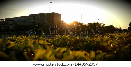 Nature pictures of gorgeous outdoors in Rio de Janeiro, mostly at the sunset