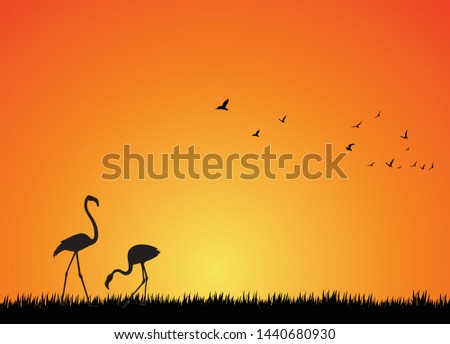 Silhouette of two flamingo on nature at sunset. Horizontal vector background.
