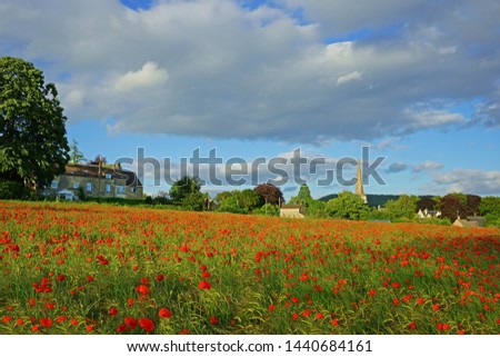 A stunning display of red poppies in a field of barley lit by late evening light looking towards the quaint village of Painswick in the heart of The Cotswolds, Gloucestershire, UK