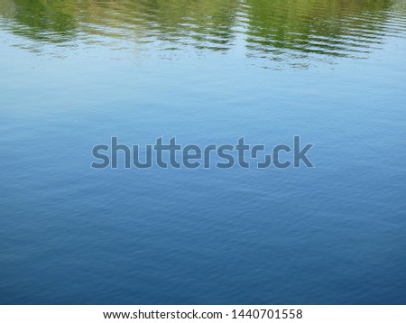 reflection of tree on water in the park